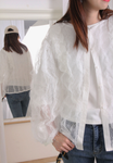 Ruffle Trim See Through Lace Blouse