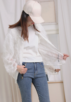 Ruffle Trim See Through Lace Blouse