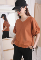3D Puff Sleeves Top (3 colours)