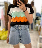 Multi Colours Knit Top (2 colours) (pre order)